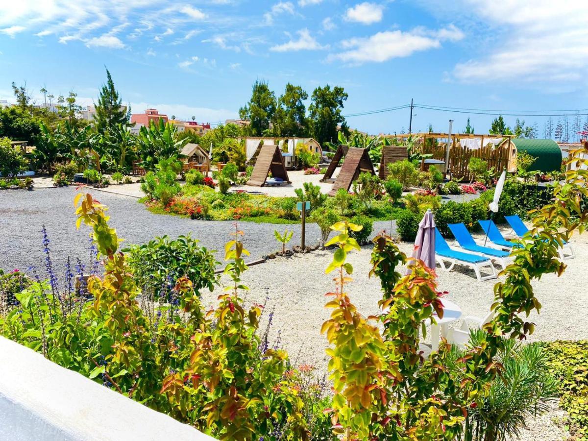 Arrebol Suite Con Jacuzzi, Piscina Y Naturaleza Buzanada Eksteriør billede