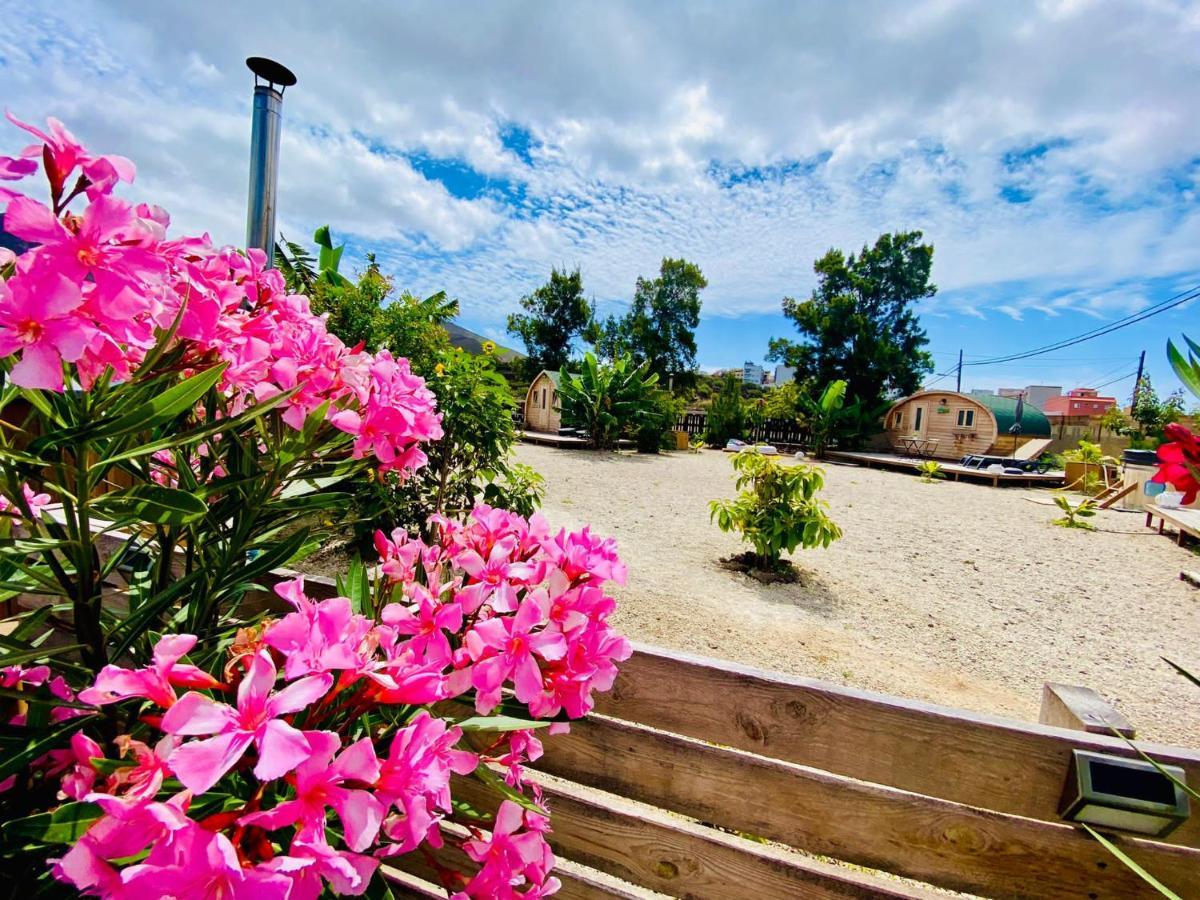 Arrebol Suite Con Jacuzzi, Piscina Y Naturaleza Buzanada Eksteriør billede